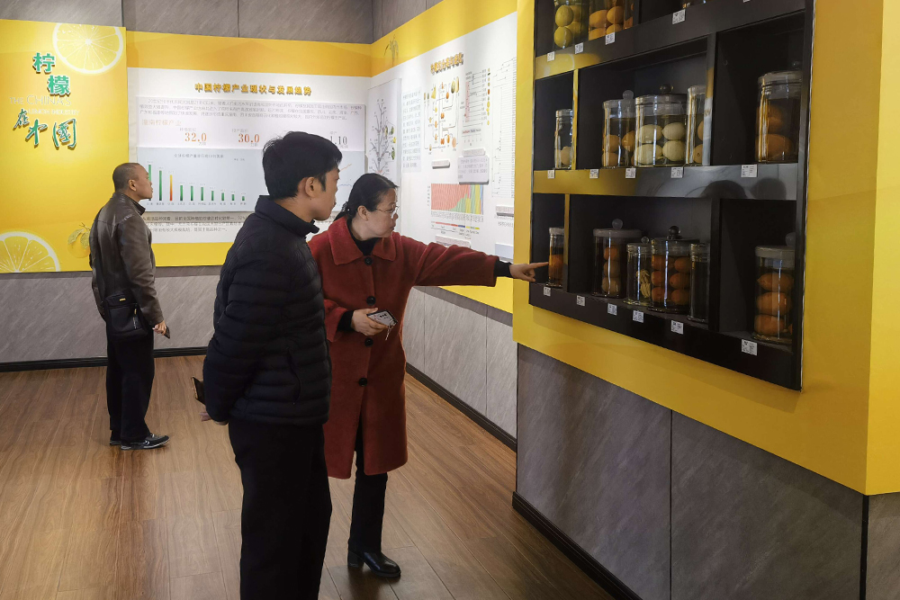 KQEu_1706176935530000626.jpg 20240120tnqy3.jpg