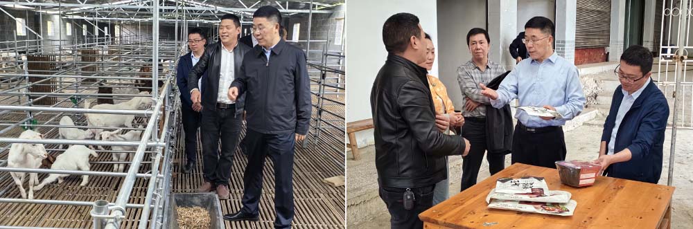 EqrS_1714298280992002020.jpg 20240426wldy2.jpg