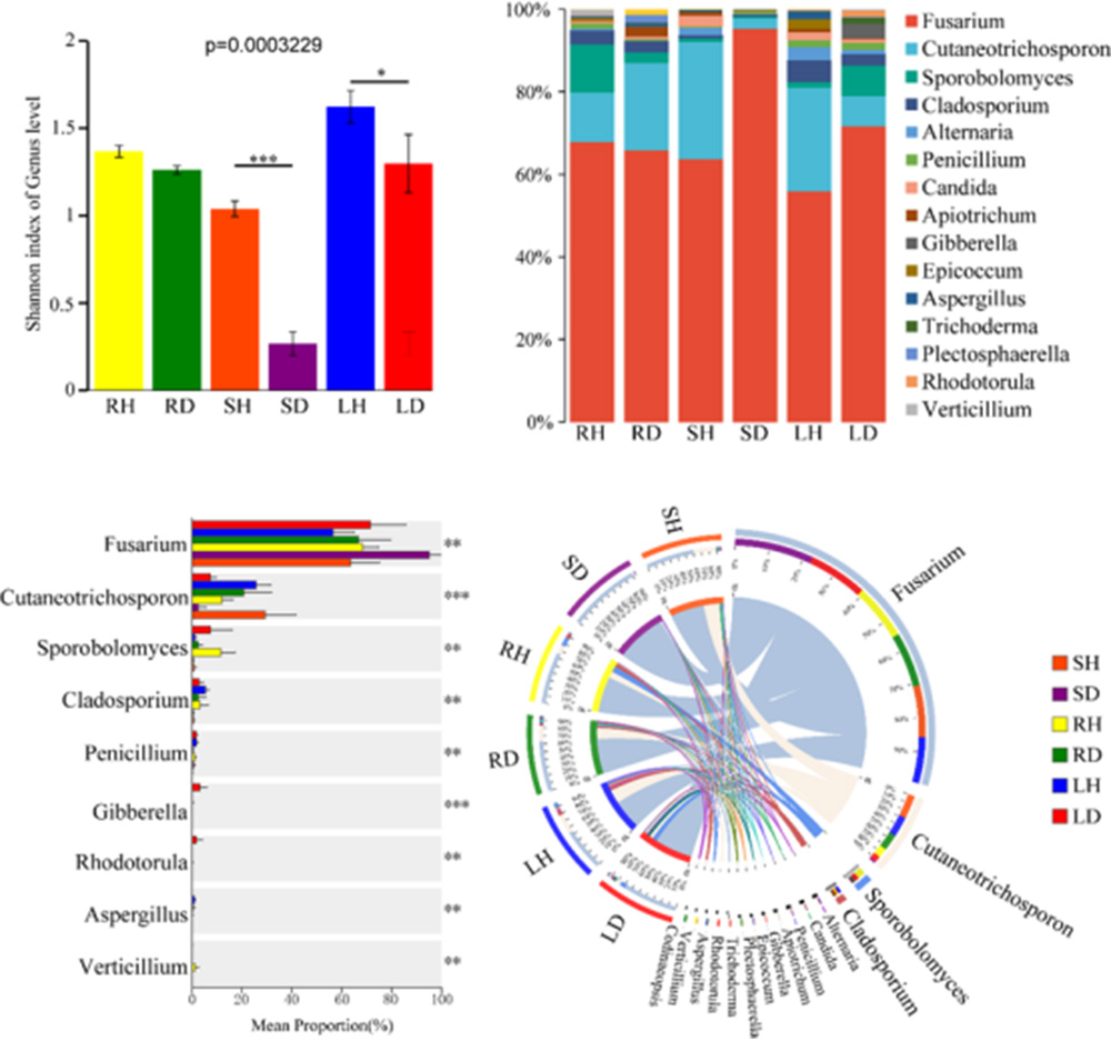 DqNV_1728190580095016112.jpg 2.jpg