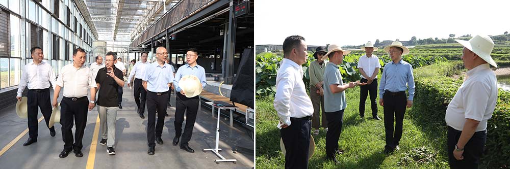 FKjU_1751082918016036957.jpg 20250627nkyhz5.jpg