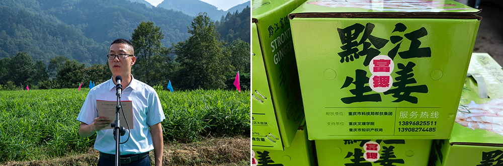 ufDX_1758204319473030952.jpg 20250918qjsjkw4.jpg