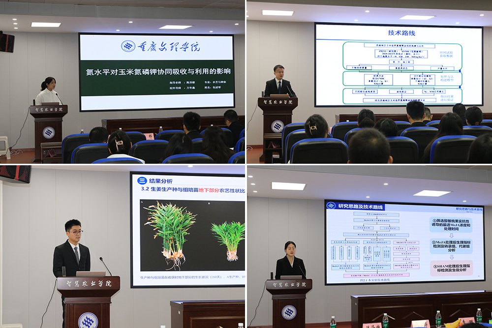 bzRe_1763522978764003640.jpg 拼图缩剪.jpg