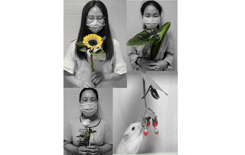 1591009585962016237.jpg 20200601xljky5.jpg