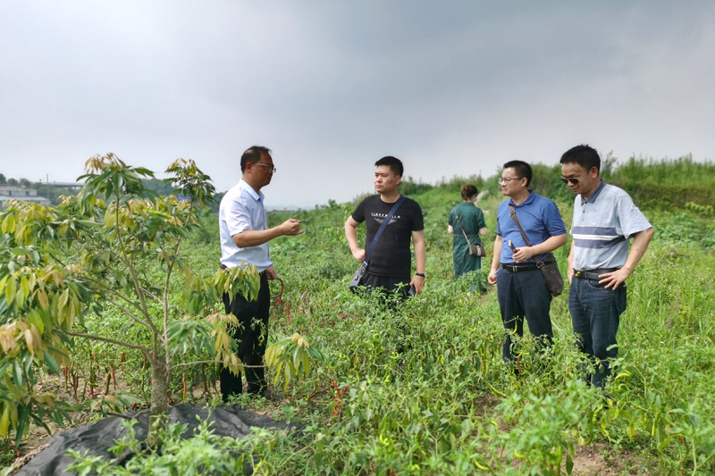 1595464633219069907.jpg 20200721dyhcdy4.jpg