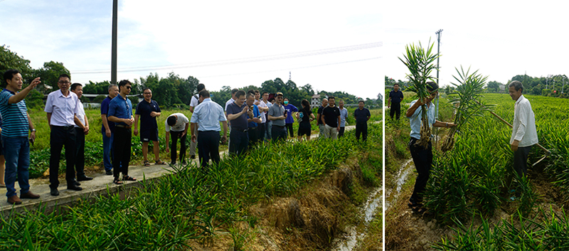 1596961023484040146.jpg 20200806twohy3.jpg