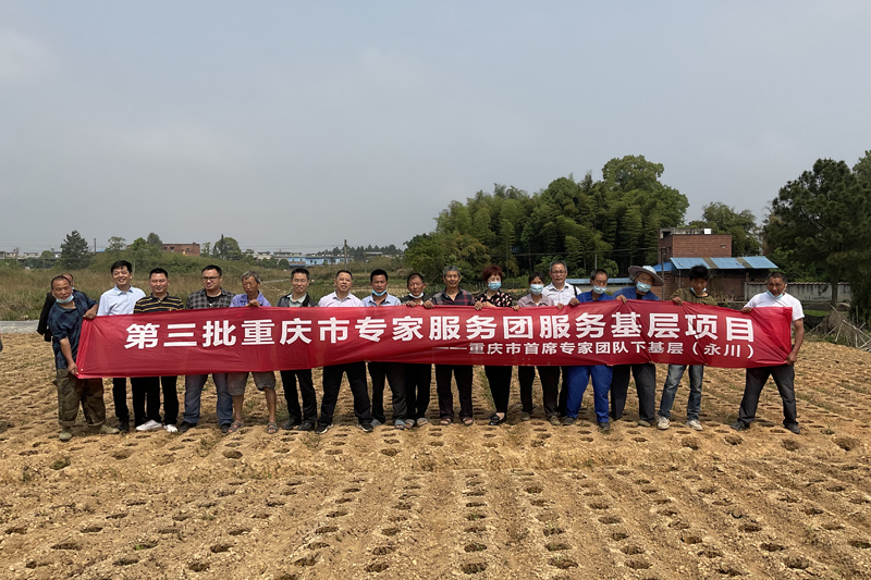 kSLs_1651055161329002390.jpg 20220424zjfwt3.jpg