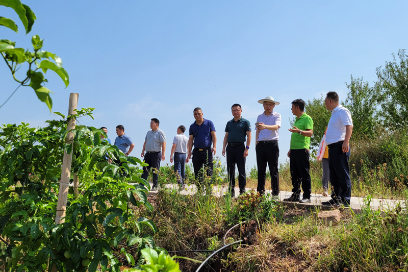 WThC_1659397705324059890.jpg 20220730zjxcdy4.jpg