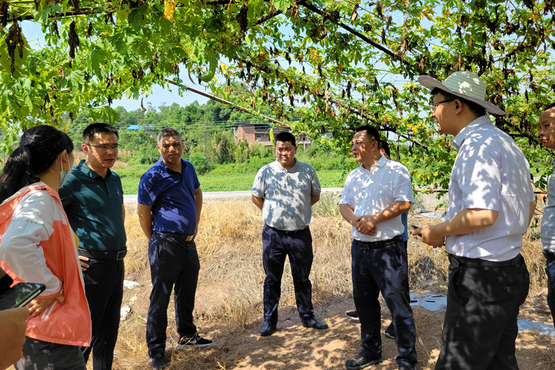 jDwI_1659397545454000692.jpg 20220730zjxcdy1.jpg