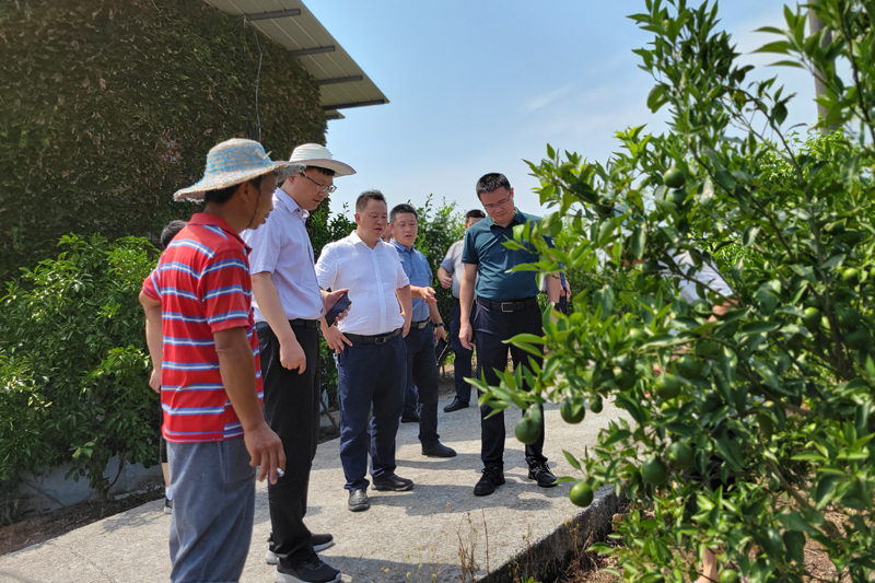 tYea_1659397717338083580.jpg 20220730zjxcdy3.jpg