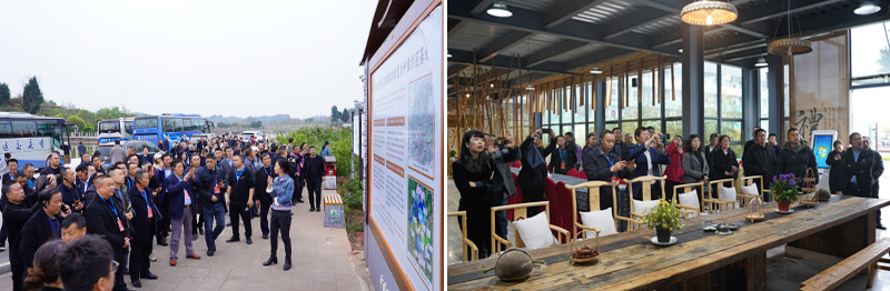 NxYl_1680567365549068612.jpg 20230320cdzsjpx5.jpg