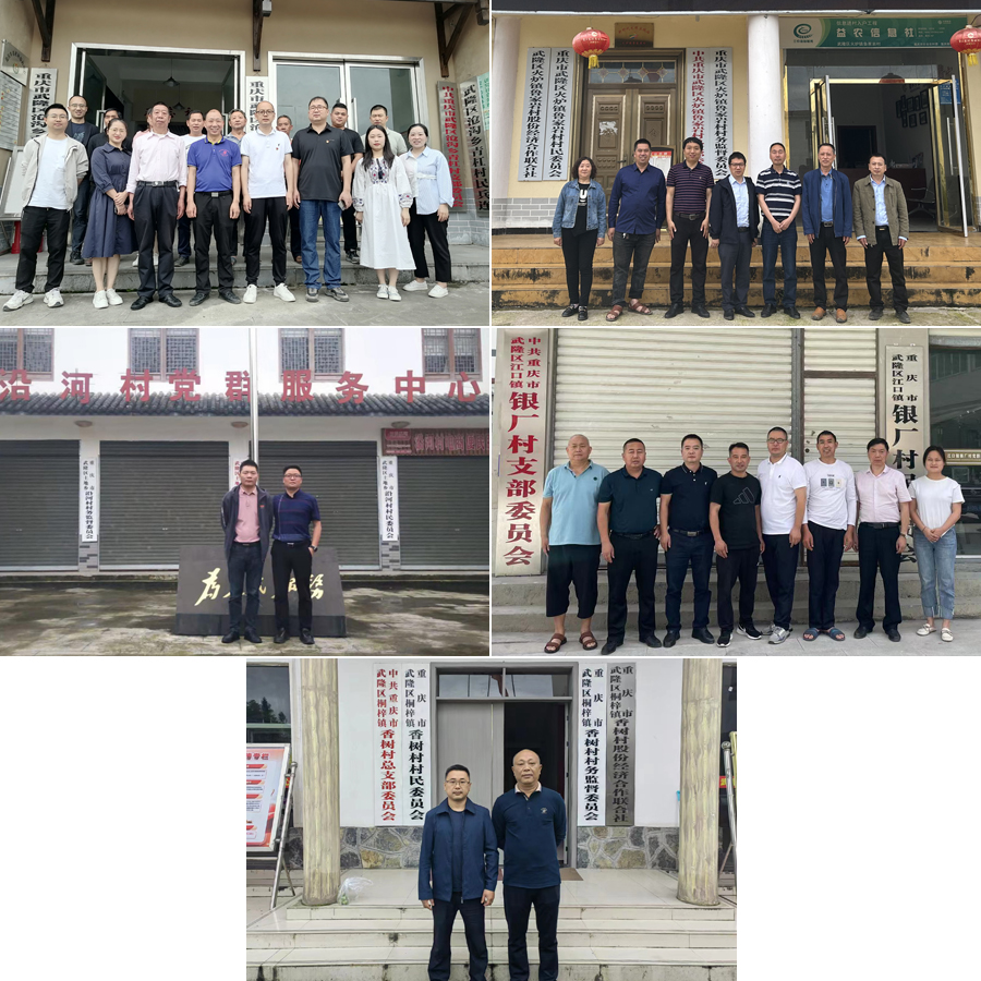 uyDN_1686237259133026490.jpg 20230607dysjjl1.jpg