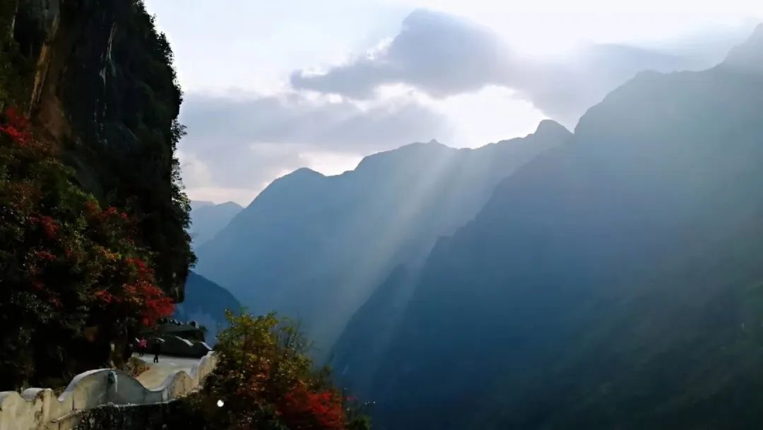 1592306799230089645.png 1592306799230089645.png