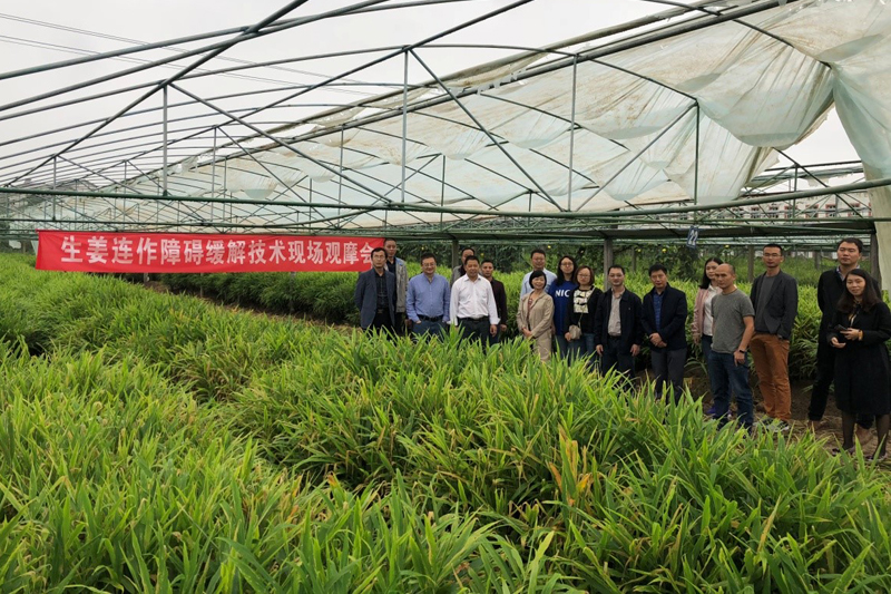 1538993858138021252.jpg 20181008tszwlt1.jpg