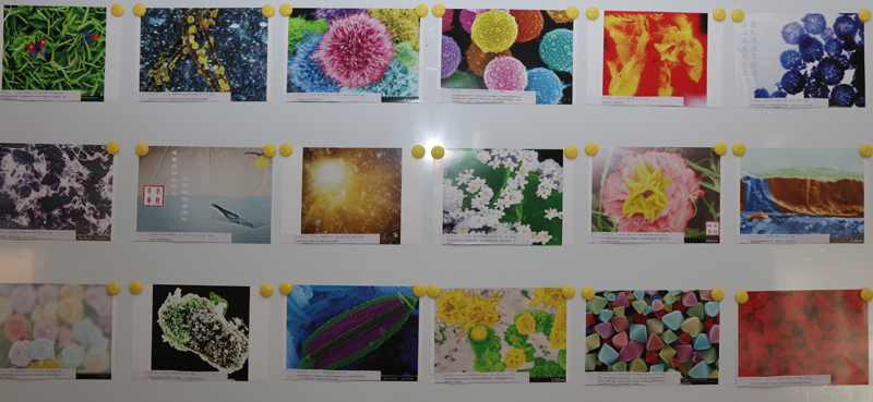 1547465827181024315.jpg 20190111clwjgsyds5.jpg