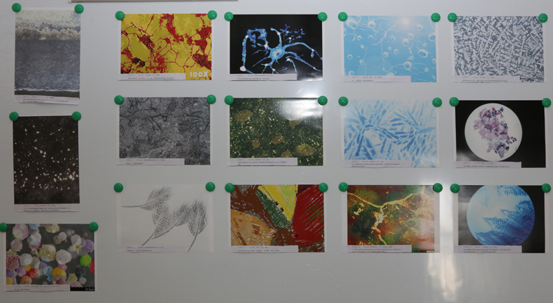 1547465836680086212.jpg 20190111clwjgsyds4.jpg