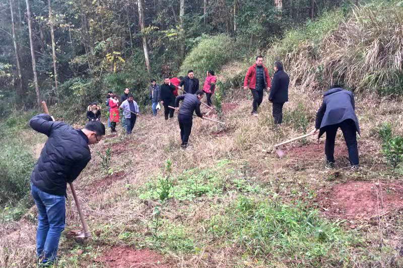 1576566918481094699.jpg 20191212wshfp2.jpg