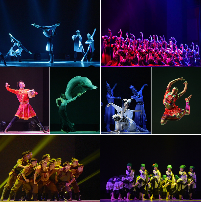 1577959076108073902.jpg 20191230yyxywdhb1.jpg