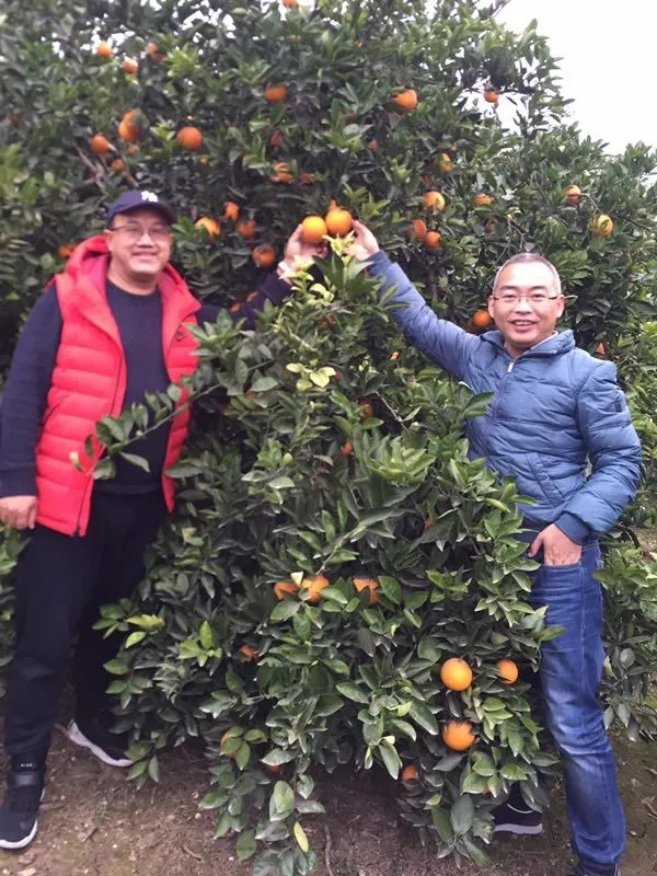 1539179283572074960.png 3.png