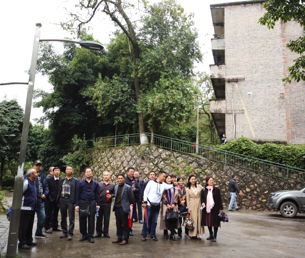 1572863593972047250.png image.png